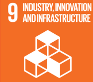 United Nations Sustainable Development Goals. - INDUSTRY INNOVATION INFRSTRUCTURE