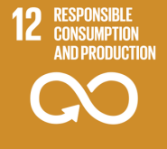United Nations Sustainable Development Goals. - RESPONSIBLE CONSUMPTION AND PRODUCTION