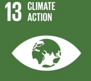 United Nations Sustainable Development Goals. - CLIMATE ACTION