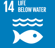 United Nations Sustainable Development Goals. - LIFE BELOW WATER
